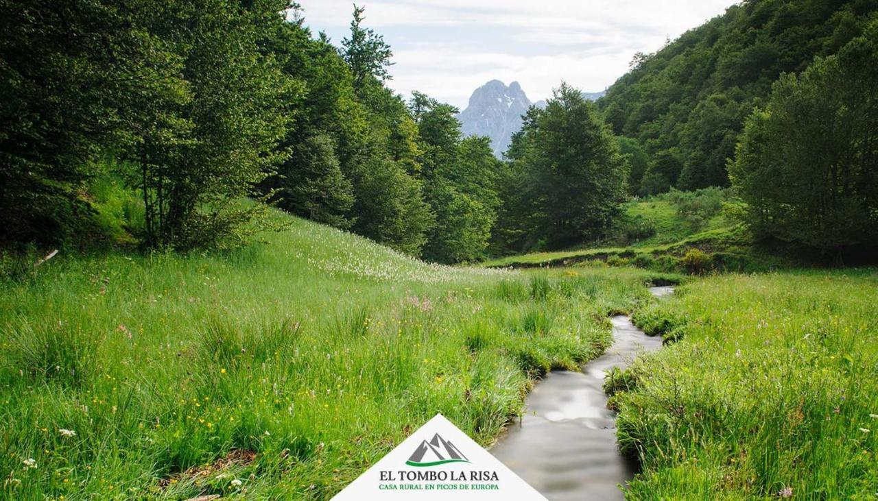 Casa Rural El Tombo La Risa Santa Maria de Valdeon ภายนอก รูปภาพ